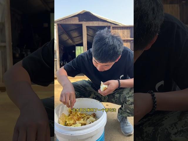 #农村生活 #户外日常