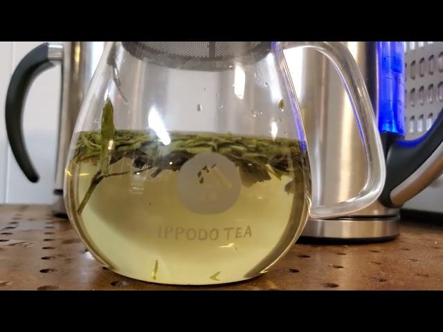 The perfect glass teapot for me and my family