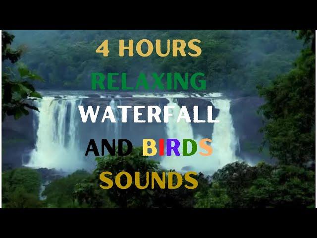 4 Hours - Relaxing - Waterfall - Birds - Sounds | Nature - Sounds | White - Noise