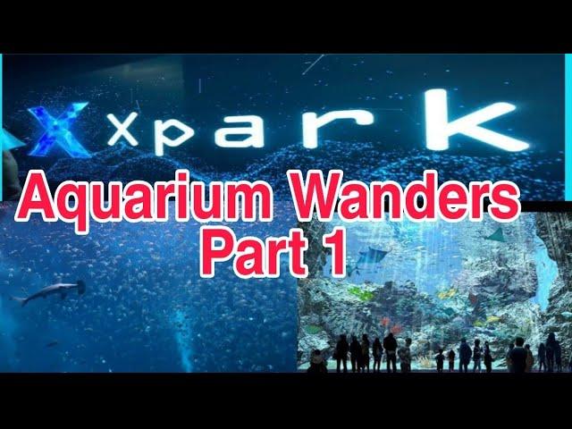 X PARK - ONE OF THE BIGGEST AQUARIUM IN TAIWAN | PART 1 | mjwanders