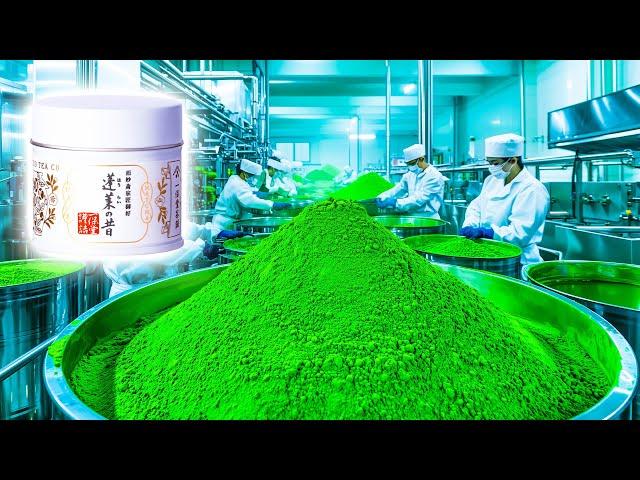 The Inspiring Journey of How Matcha is Made in Factory | Mind-Blowing Matcha Factory Journey