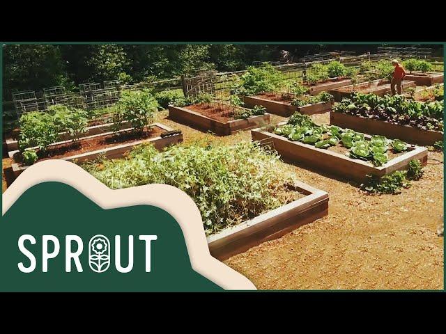 Sell: Family Gardening Business Journey | Sprout Full Episode