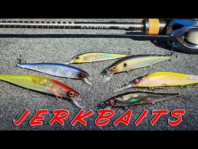 BUYER'S GUIDE: Jerkbaits and Jerkbait Rods For Bass!