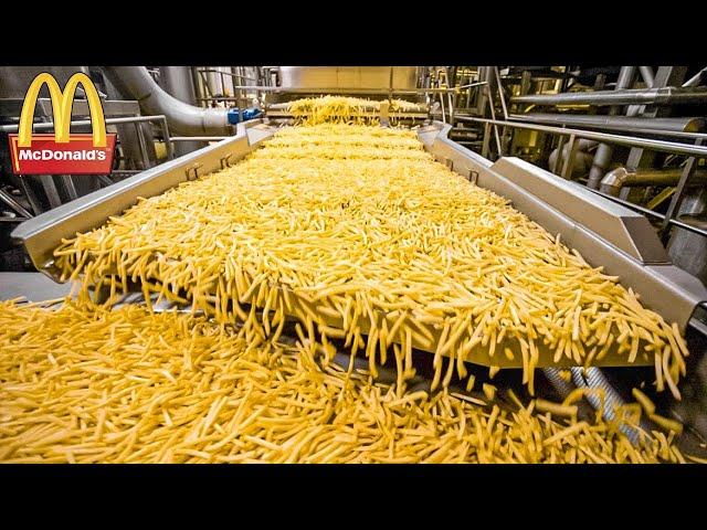 HOW MCDONALD’S FRENCH FRIES ARE MADE. FOOD PRODUCTION