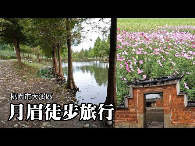 Season suitable for hiking in Daxi Yuemei: Flower Festival, Bald Bald, Li Tengfang Ancient House