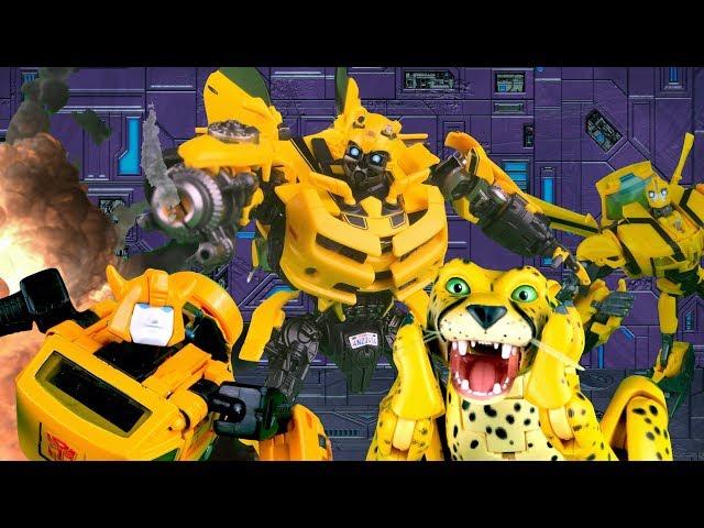 Bumblebee VS Bumblebee VS Cheetor! Transformers Stop Motion | Feat. JobbytheHong | Toy Animation |