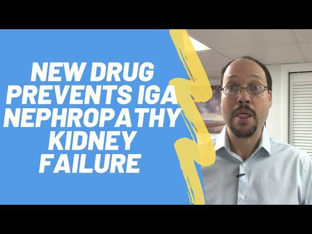 Dapagliflozin (Farziga) Slows Kidney Function Loss In IgA Nephropathy | Farxiga And Kidney Disease