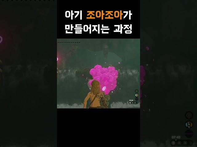 [젤다 왕눈] 하이랄에 조아조아가 많은 이유