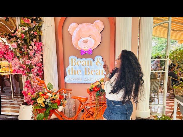 Bean & Bear Cafe