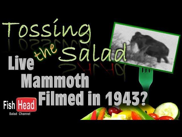 Live Mammoth Filmed in 1943?  Seriously?