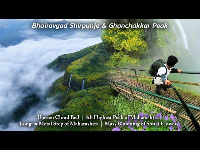 NEVER seen Such Cloud bed: Most BEAUTIFUL trek of Sahyadri | Shirpunje Bhairavgad & Ghanchakkar Peak