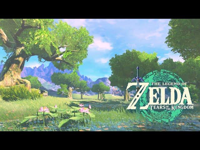  Linebeck Island｜Tears of the Kingdom｜ZELDA Ambience｜Relaxing Zelda BGM