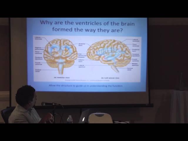 The Cerebrospinal Fluid & the Fluid Nature of Consciousness