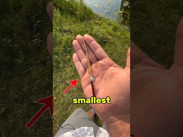 World’s Smallest Fishing Rod! (Can I catch a fish on it)