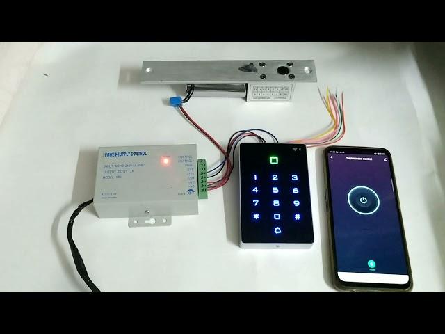 Demo video of Tuya access control