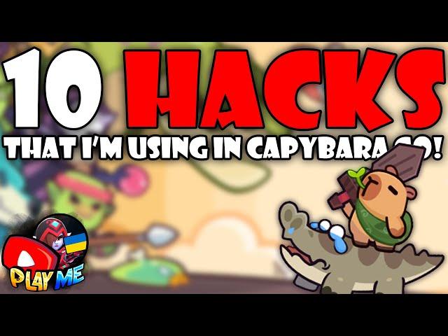 10 HACKS That I’m Using in Capybara Go