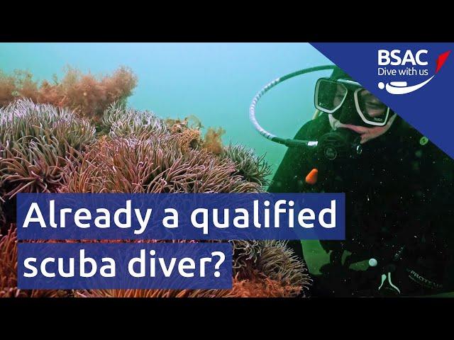 Already a trained diver? Join BSAC's community of scuba divers in the UK and worldwide