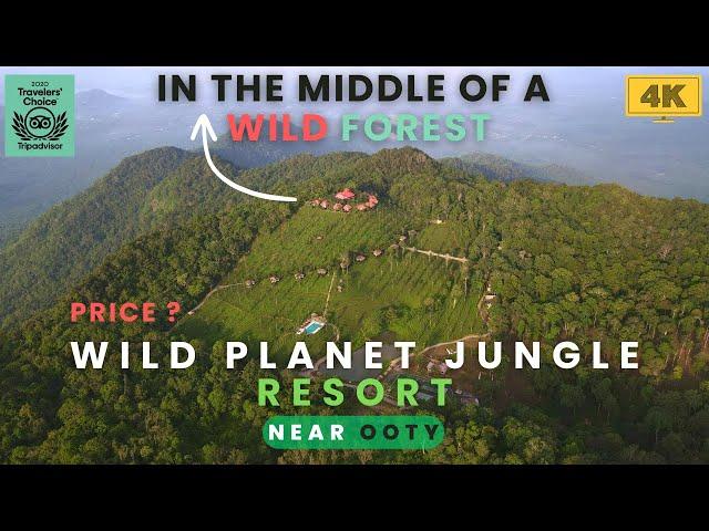 Wild Planet Jungle Resort : A Nature Lover's Paradise | Devala | Nilgiri | Near Ooty | Best Resort