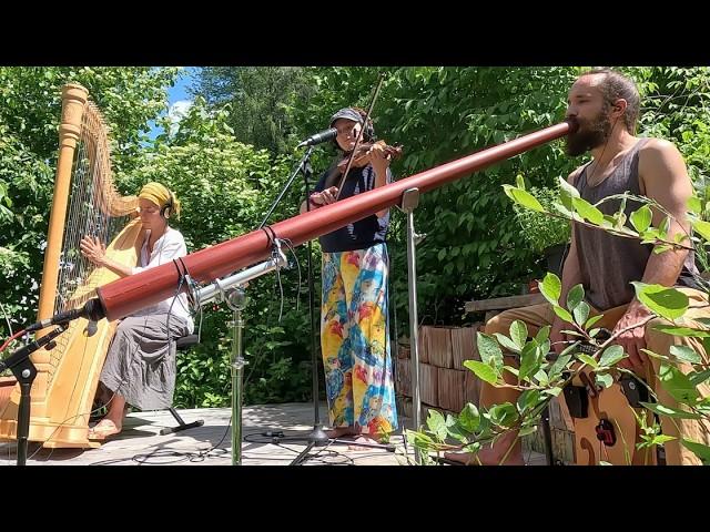 Organic Techno Jam in the Garden: Harp, Violin, Didgeridoo, and Birds