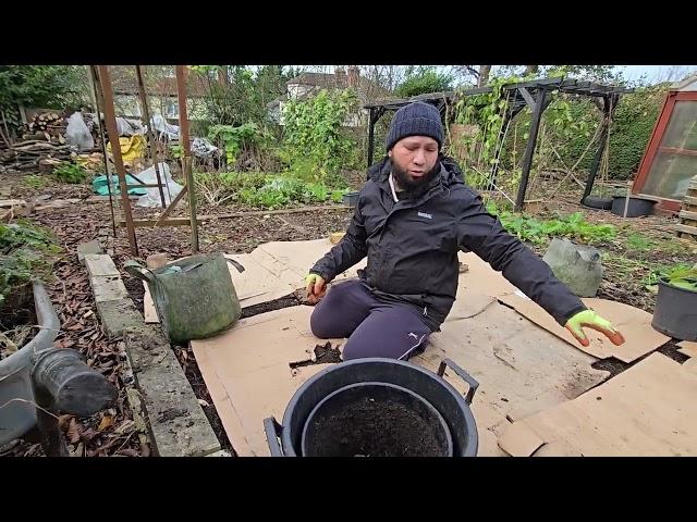 Planting Garlic - The My Family Garden Way