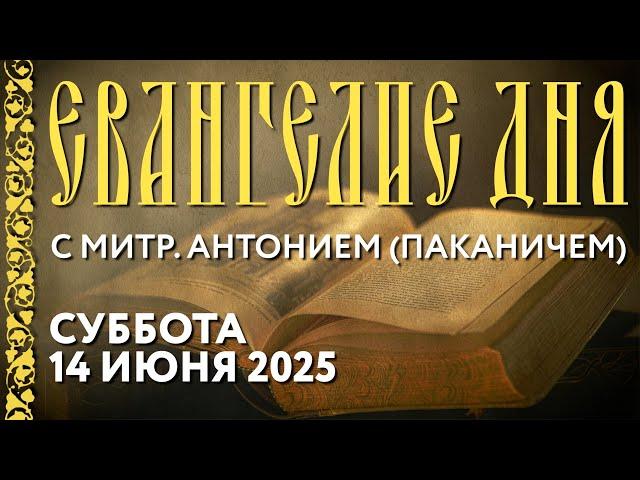 Толкование Евангелия с митрополитом Антонием (Паканичем). Суббота, 14 июня 2025 года.