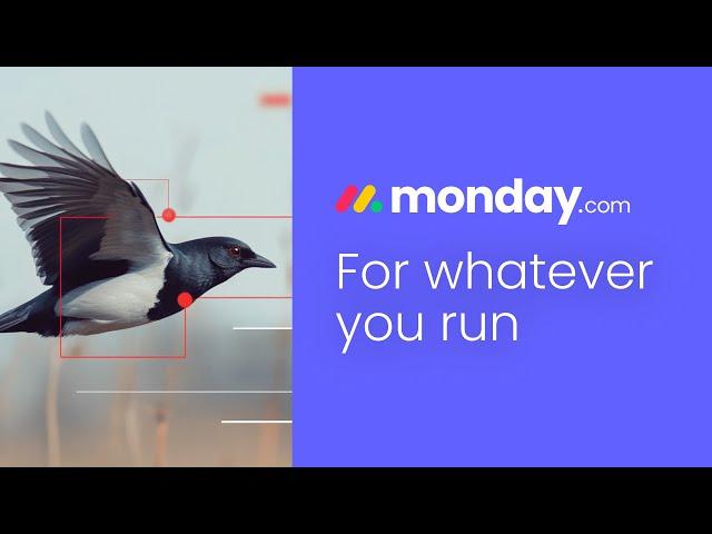 Manage anything, track progress, and collaborate effortlessly with monday.com