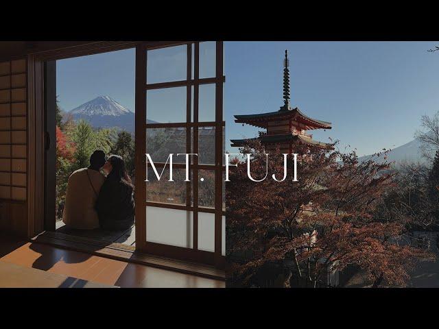 JAPAN DIARIES: TOKYO & A DAY TRIP TO MT. FUJI | ALYSSA LENORE