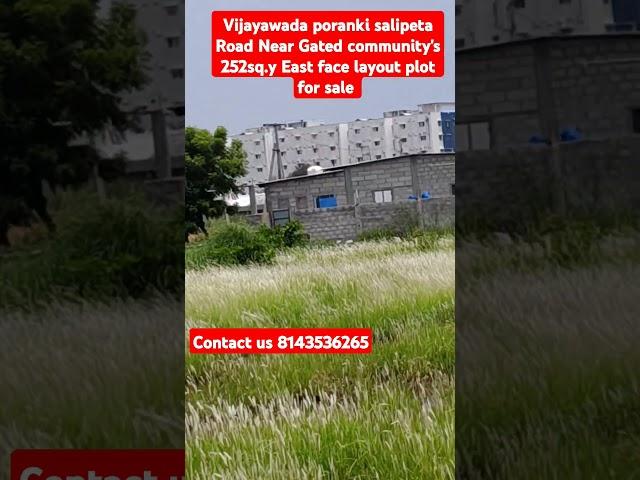 252sq.y East face layout plot for sale in Vijayawada/in Poranki salipeta Road Near Gated community's