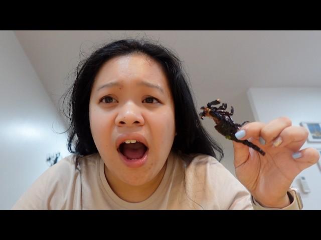 I ATE A SCORPION | Bangkok Solo Travel Day 1