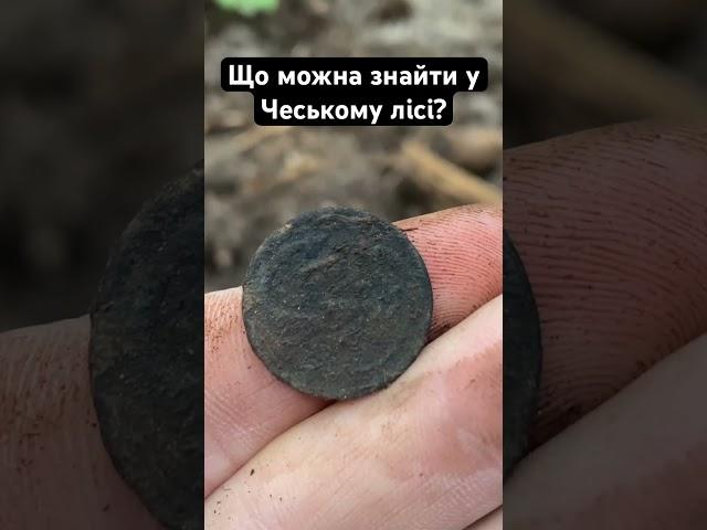 Коп в Чехії! #metaldetecting #коп #монеты #2024 #coin #металл ##metaldetector #рекомендації