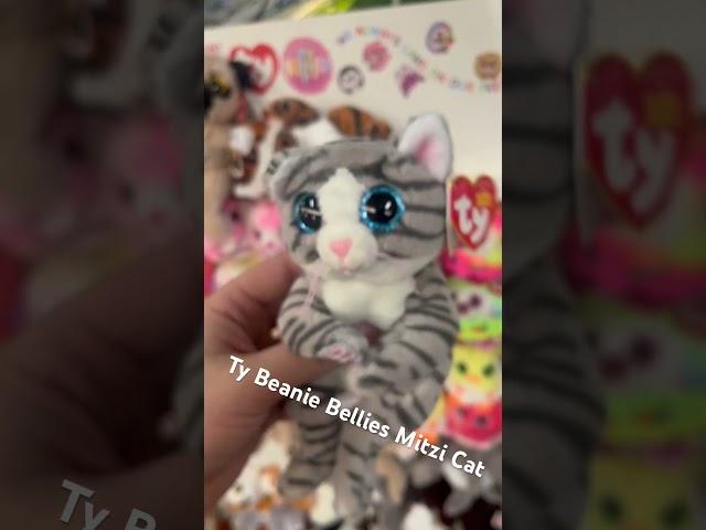 Ty Beanie Bellies Mitzi Cat #plushies #tybeanieboos #beanieboos #ty