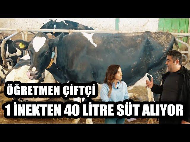 Öğretmen Çiftçi Süt Çiftliği Kurdu 1 İnekten 40 Litre Süt Alıyor! / Marka Çiftlikler