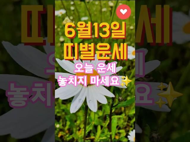 6월13일 띠별운세  #하루1분꿀팁 #무료운세 #오늘의운세