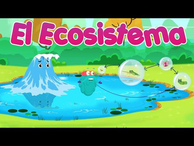 Ecosistemas | Tipos de ecosistemas | Educativos para niños 2021 | Documentales en español