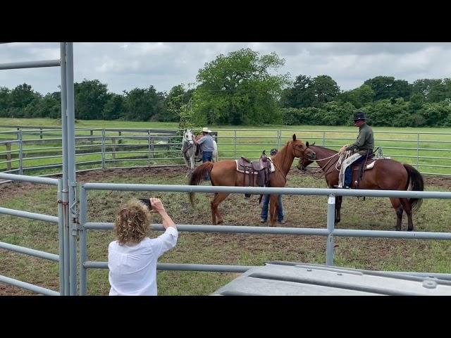 Tate Wheelis Texas horseman & Ranch Realtor