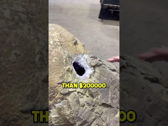 The Most Expensive Rock in the World ️