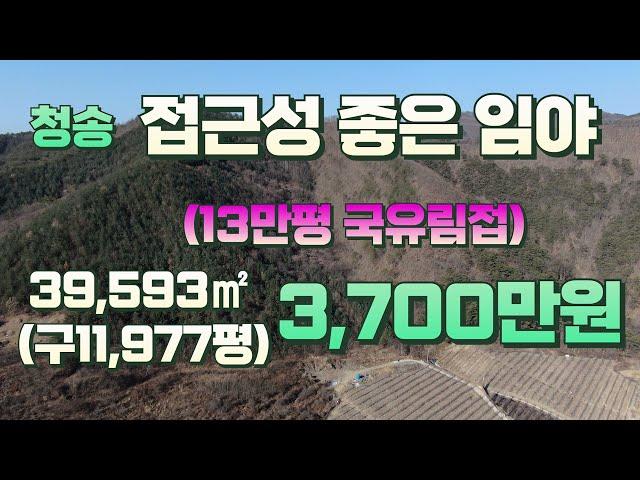 청송군 안덕면 임야(13만평 국유림접)-청송부동산.영천부동산