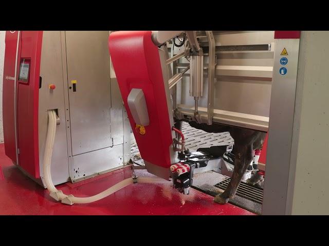 Lely Astronaut A5 - Der Melkvorgang - DE