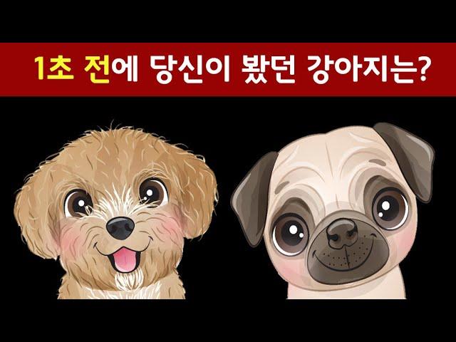 1초 만에 답을 찾아야 하는 순간기억력 두뇌퍼즐게임. 치매예방.