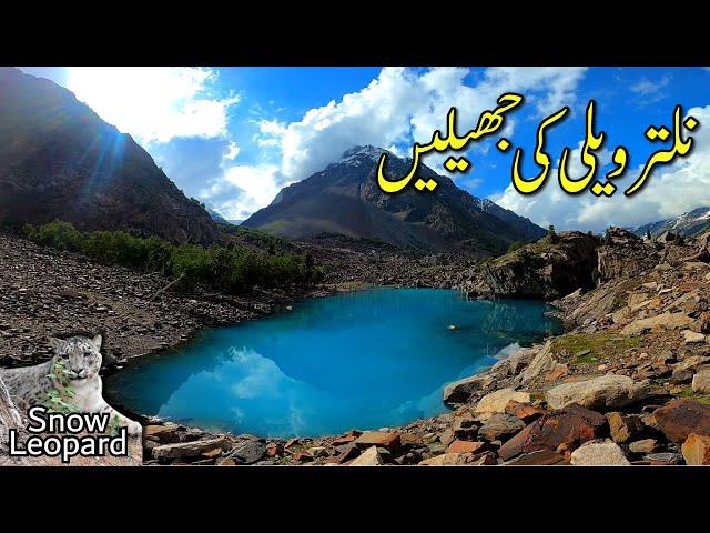 Naltar Valley Road Gilgit Baltistan | Snow Leopard | Naltar Lake | Satrangi Lake, Blue & Feroza Lake