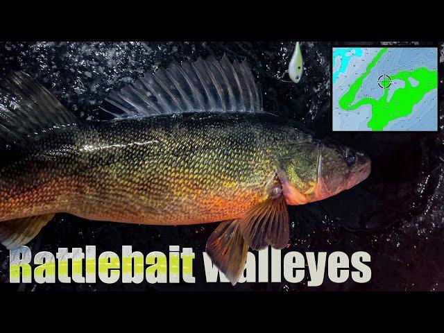 Mille Lacs walleyes are INHALING Rippin' Raps! (complete breakdown)