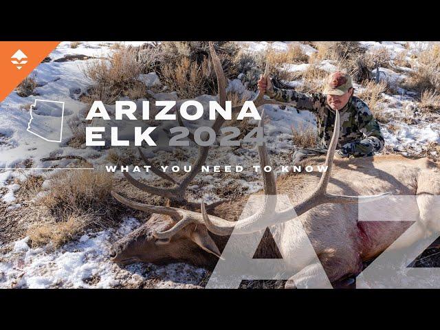 How to Hunt Elk & Antelope in Arizona | Everything You Need to Know