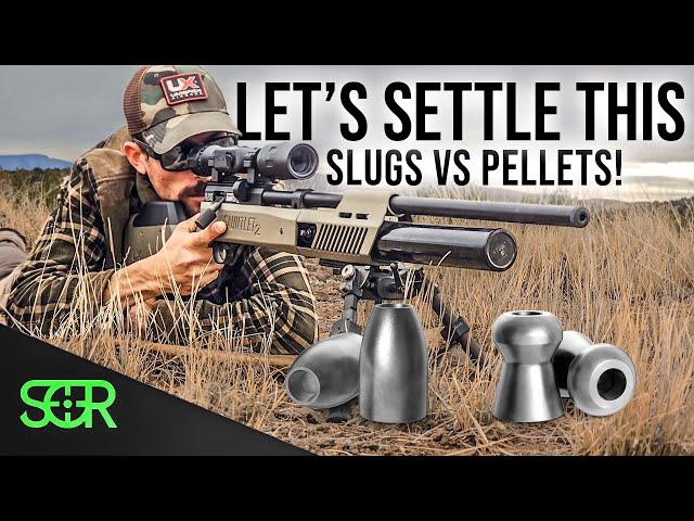 Is it EVEN Worth It to SHOOT SLUGS in "BUDGET" Airguns???