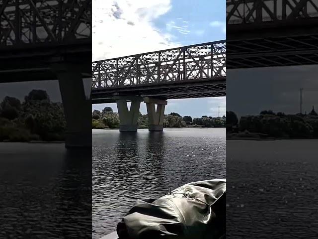 катер Бычок проект 338 м , мост через Волхов #водныйпоход #волхов #бычок