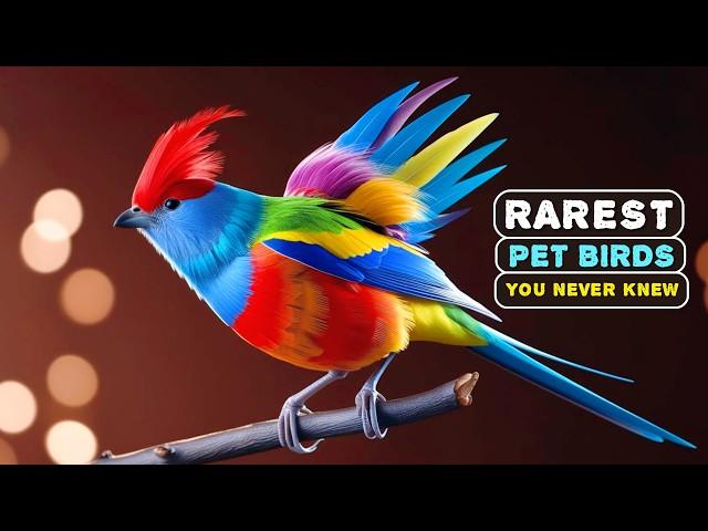 The Most Unique Bird Breeds You've Never Heard of | Rarest Pet Birds 2025