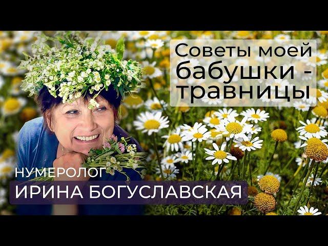 Нумеролог Ирина Богуславская о целебных свойствах росы и пользе цикория /Народная медицина