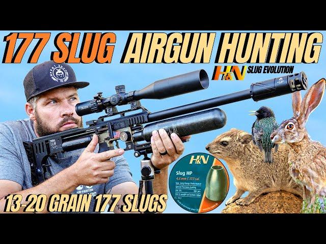 AIR GUN HUNTING WITH HN 177 SLUGS I LONG RANGE AIR GUN HUNTING WITH 177 SLUGS I HN 177 SLUG HUNTING