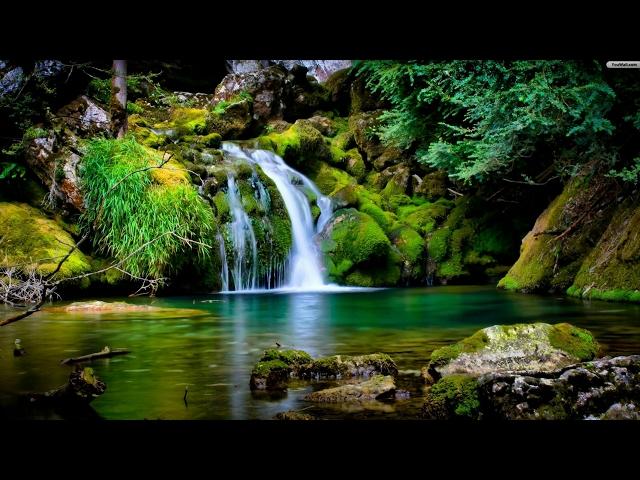 Zen Mindfulness Meditation | Garden of Tranquillity | Zen Buddhist Guided Meditation