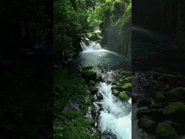 relaxing music with nature's breath.