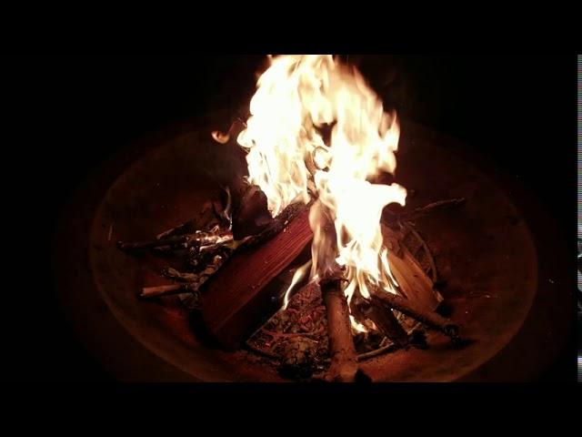 Bonfire and Nature Sounds  | Greenbee Explorer